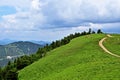 Cows at Schneeberg in Austria