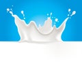 Cows, sheeps, goats, soya, rice, oat, hemp or coconut milk splash vector illustration on blue background Royalty Free Stock Photo