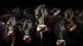 Cows in a stall on a dairy farm.