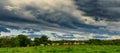 Cows and a threatening cloudy sky. Menacing clouds above the landscape Royalty Free Stock Photo