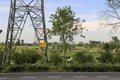 Cows under power lines on the meadows of the Krimpenerwaard where farmers are bought out through nitrogen measures Royalty Free Stock Photo