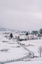 Cows walk along the road in a snowy village in a mountain valley. Back view Royalty Free Stock Photo