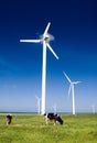 Cows and wind turbines.