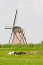 Cows and windmill Royalty Free Stock Photo