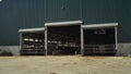Cowshed building dairy farm on sunny day. Holstein cows standing in feedlots.