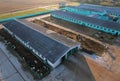 Cowshed with cows near farm. Farmland with cattle. Farm animals at barn.