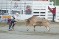 Cowtown cowboy Royalty Free Stock Photo