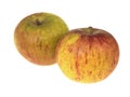 Cox Apples Royalty Free Stock Photo