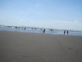 Cox's Bazar sea beach