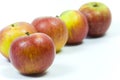 cox's pippin apples on white background Royalty Free Stock Photo