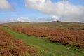 Cox Tor, Dartmoor Royalty Free Stock Photo