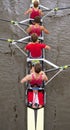 Coxed four Royalty Free Stock Photo