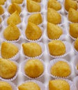 Coxinha chicken, Brazilian snack