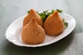 Coxinha de frango, typical brazilian chicken croquette on white dish Royalty Free Stock Photo