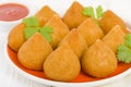 Coxinha de Galinha Royalty Free Stock Photo