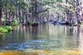 The Coxs River flowing through a forest in regional Australia