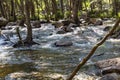The Coxs River flowing through a forest in regional Australia