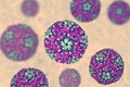 Coxsackievirus, an RNA enterovirus Royalty Free Stock Photo