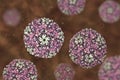 Coxsackievirus, an RNA enterovirus Royalty Free Stock Photo