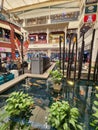 Coy fish pond in a market village mall in Thailand Royalty Free Stock Photo