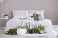 Coy space on the empty grey wall of sophisticated bedroom interior with urban jungle and comfy king size bed Royalty Free Stock Photo