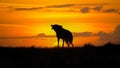 Coyate howling silhouette