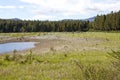 Coyhaique National Reserve, Chile Royalty Free Stock Photo