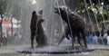 Coyoacan fountain Royalty Free Stock Photo