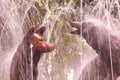 Coyotes fountain, emblem of coyoacan, in mexico city, mexico. III Royalty Free Stock Photo