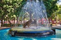 Coyoacan, Mexico City, Mexico-20 April, 2018: Drinking coyotes statue and fountain in Hidalgo Square in Coyoacan Royalty Free Stock Photo