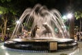 Coyotes fountain, Coyoacan, Mexico City night scene Royalty Free Stock Photo