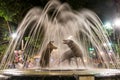 Coyotes fountain, Coyoacan, Mexico City night scene Royalty Free Stock Photo