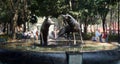 Coyoacan mexico fountain Royalty Free Stock Photo