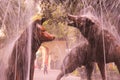 Coyotes fountain, emblem of coyoacan, in mexico city, mexico. V Royalty Free Stock Photo