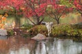 Coyote Canis latrans Stands at Edge of Island Ripples in Water Autumn Royalty Free Stock Photo