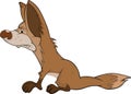 Coyote. Cartoon