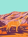 Coyote in Death Valley National Park in the California Nevada Border WPA Poster Art