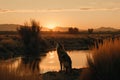 A Coyote Howling Near A River At Sunset. Generative AI