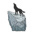 coyote howling on rock sketch vector illustration