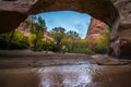 Coyote Natural Bridge Escalante Utah USA Fall Colors Royalty Free Stock Photo