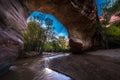 Coyote Natural Bridge Escalante Utah USA Fall Colors Royalty Free Stock Photo