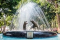 Coyotes fountain in Coyoacan Quarter, Mexico City Royalty Free Stock Photo