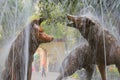 Coyotes fountain, emblem of coyoacan, in mexico city, mexico I Royalty Free Stock Photo