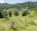 Cozanei meadow, Buzau Mountains, Romania