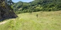 Cozanei meadow, Buzau Mountains, Romania