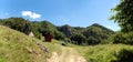 Cozanei meadow, Buzau Mountains, Romania