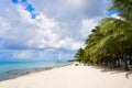 Cozumel island beach Riviera Maya Mexico Royalty Free Stock Photo