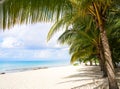 Cozumel island beach Riviera Maya Mexico Royalty Free Stock Photo