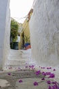 Cozy alley with stairs in Athens quarter Anafiotika