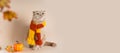 Cozy autumn banner with cute cat. Funny cat wearing knitted scarf, autumn leaves and a pumpkin on beige background. Autumn, fall,